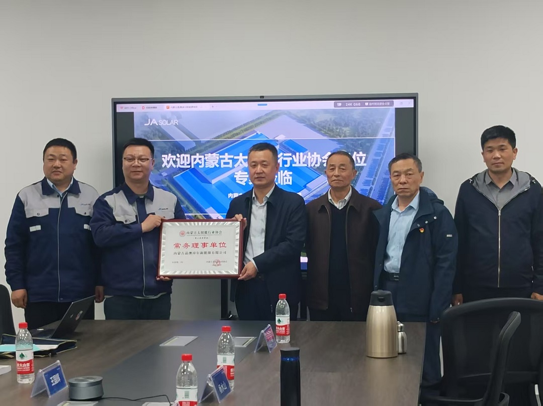 1763459427379196.jpg 内蒙古太阳能行业协会专家组赴内蒙古晶澳淖尔新能源有限公司开展战略性新兴产业认定现场评审并调研2.jpg
