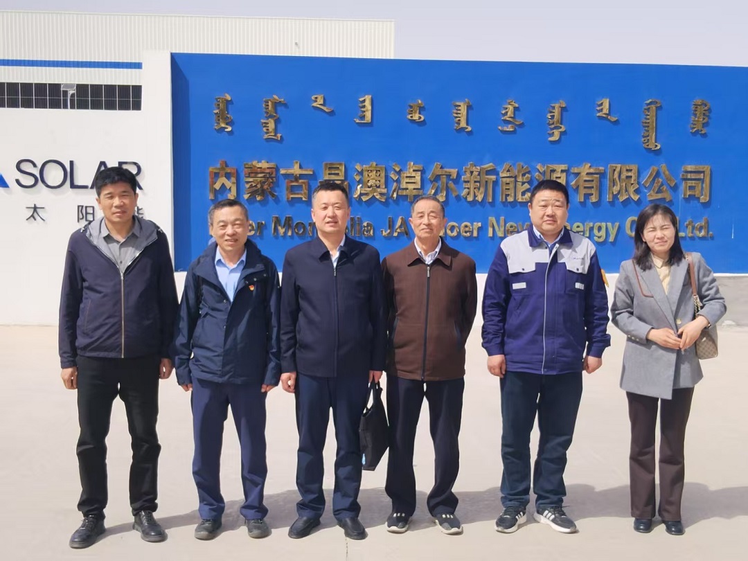 1763459477767816.jpg 内蒙古太阳能行业协会专家组赴内蒙古晶澳淖尔新能源有限公司开展战略性新兴产业认定现场评审并调研4.jpg